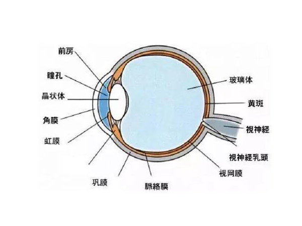 小心！高溫性眼灼傷